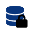 Icon_data security
